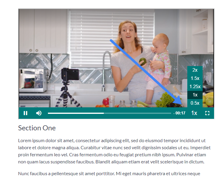 Playback speed Thinkific Videos
